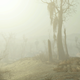 Illustration for article titled How to Mod Fallout 4 and Which Are the Best?